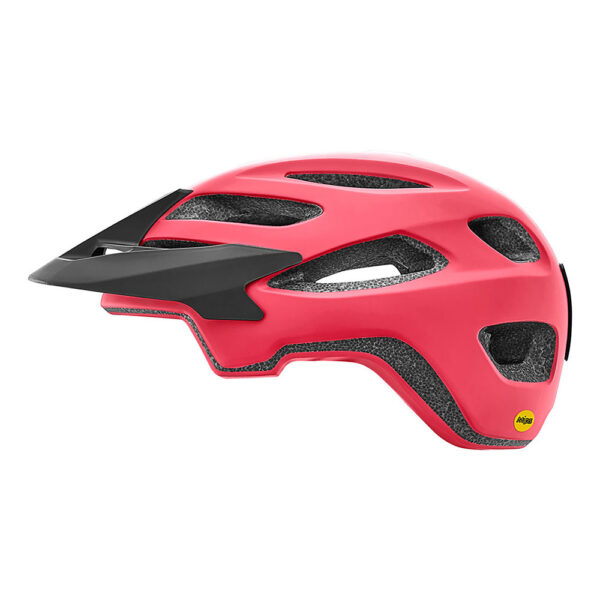 CASCO ROOST MIPS GIANT